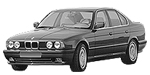 BMW E34 P020A Fault Code